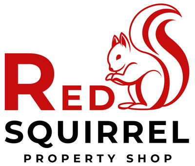 Red Squirrel